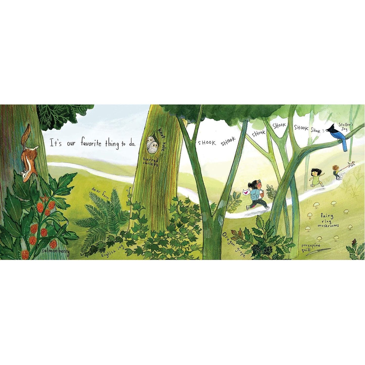The Hike - Hardcover Picture Book