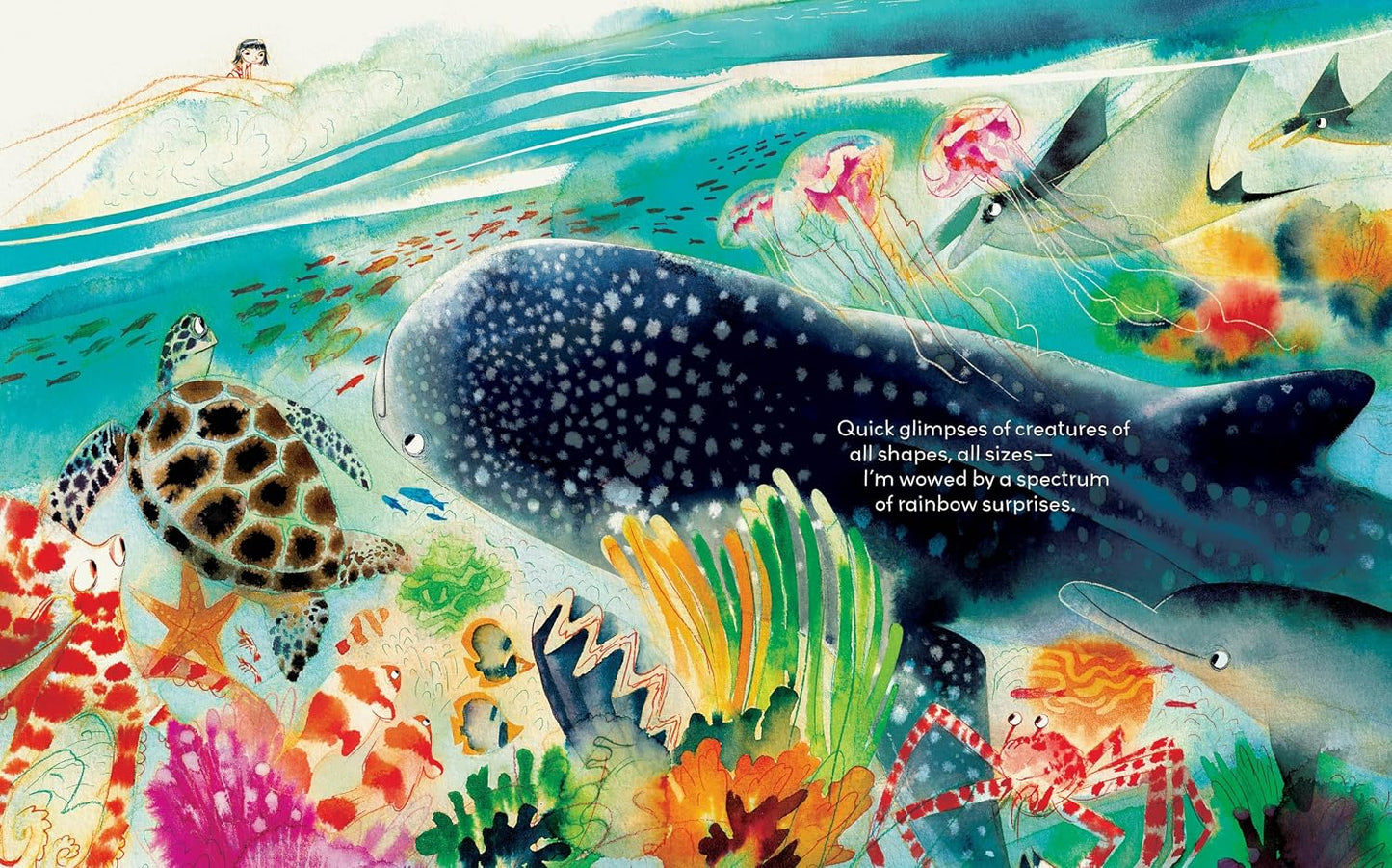My Dear Sea - Hardcover Picture Book
