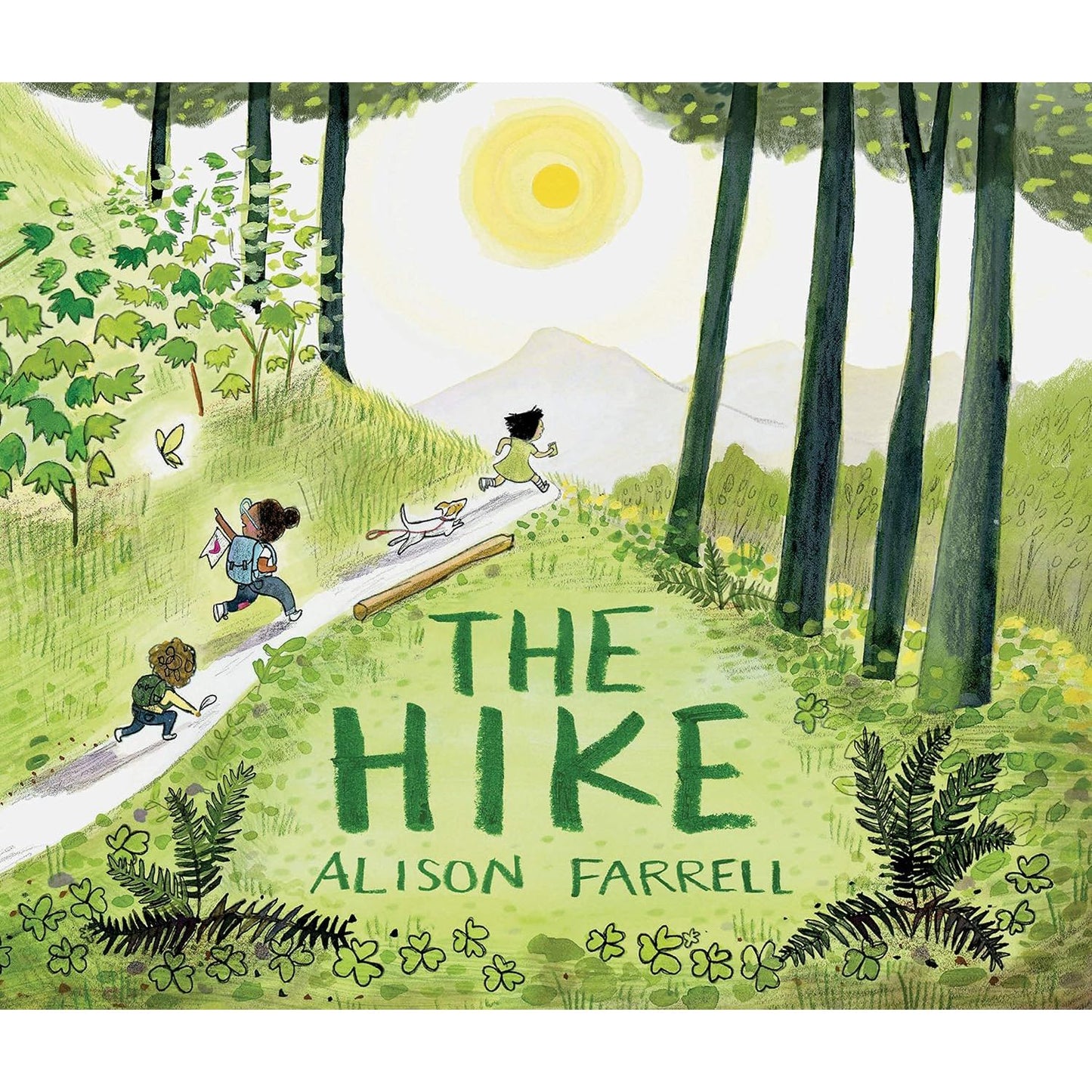 The Hike - Hardcover Picture Book