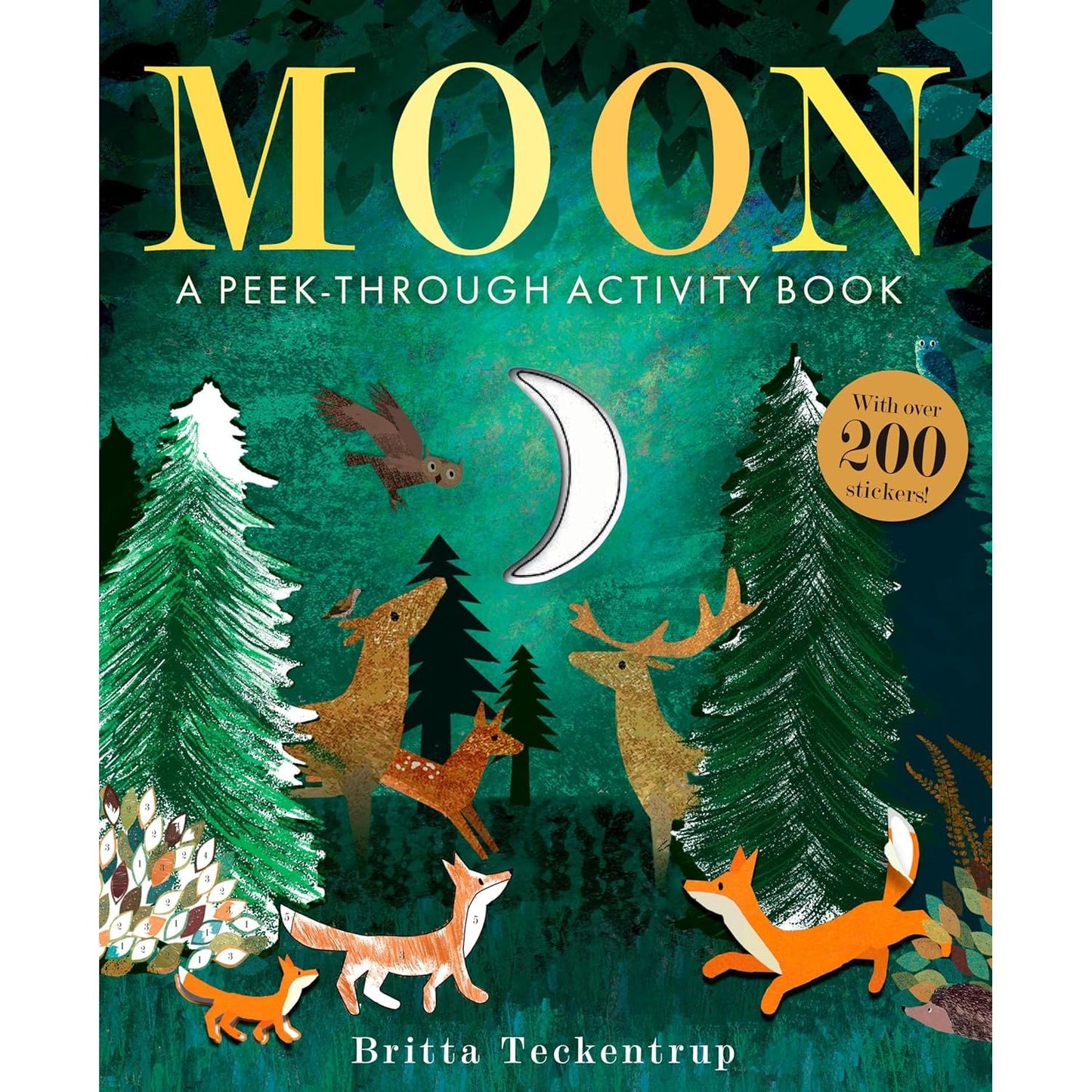 Moon: A Peek-Through Activity Book