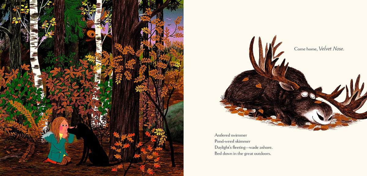 Woodland Dreams - Hardcover Picture Book