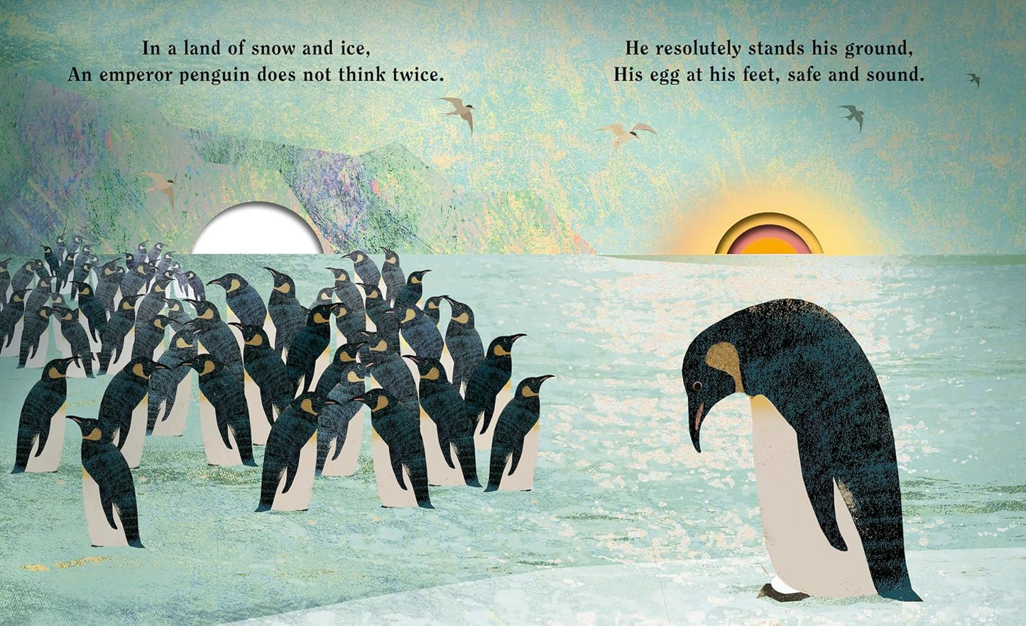 Family - A Peek-Through Hardcover Picture Book