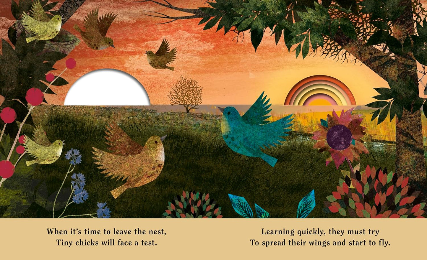 Family - A Peek-Through Hardcover Picture Book