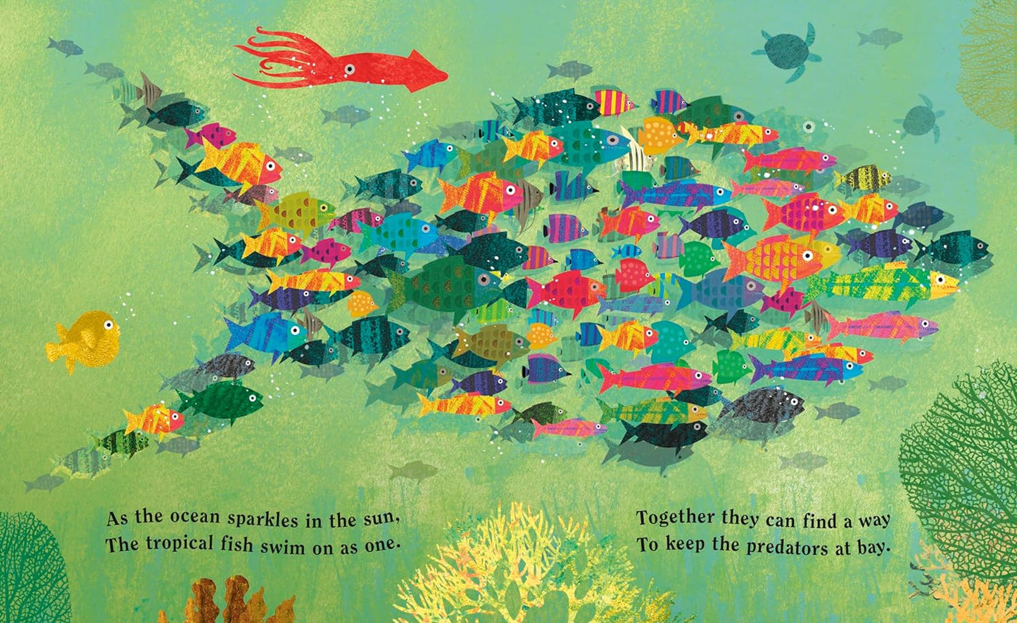 Ocean - A Peek-Through Board Book
