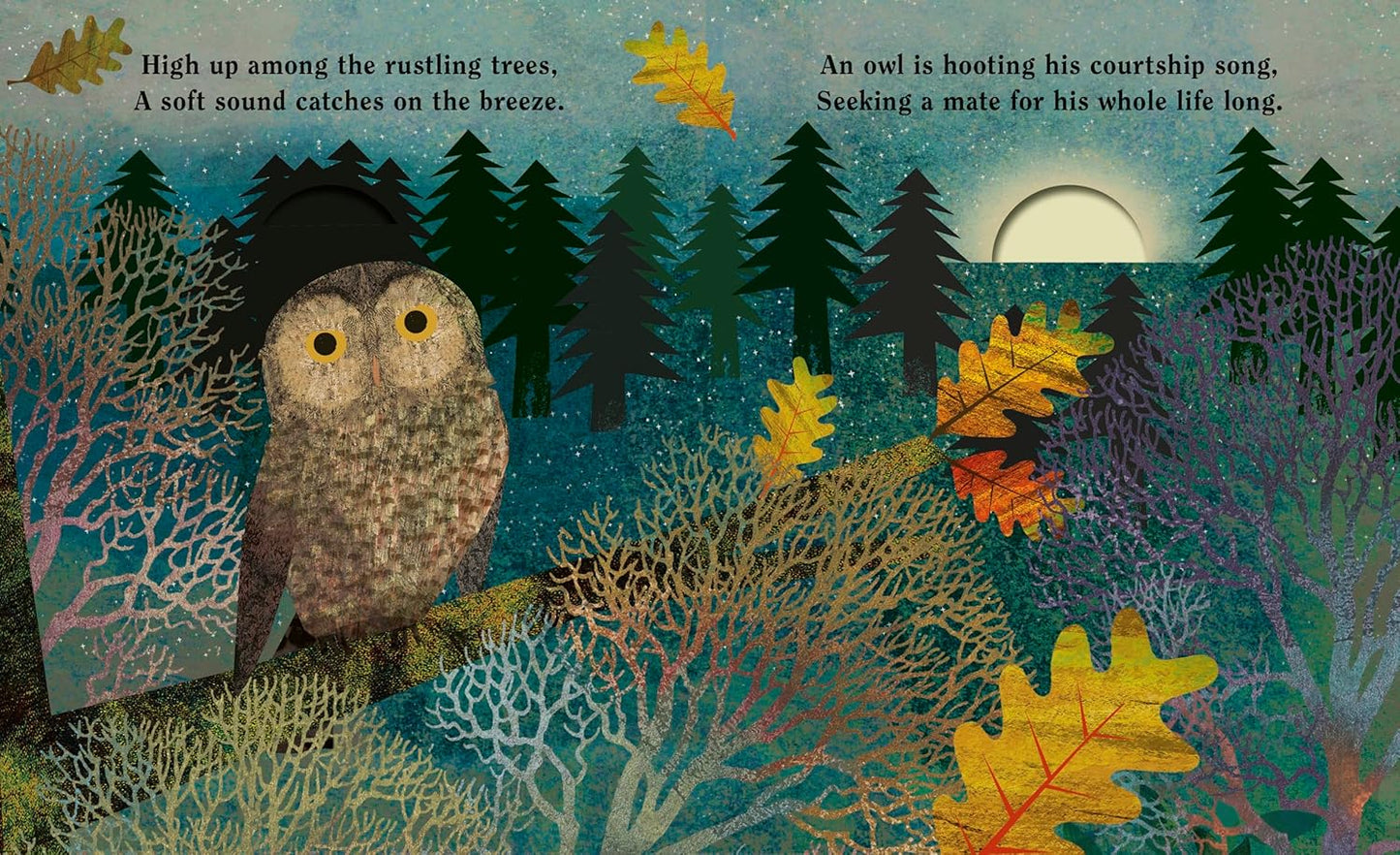 Family - A Peek-Through Hardcover Picture Book