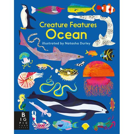 Creature Features: Ocean - Board Book