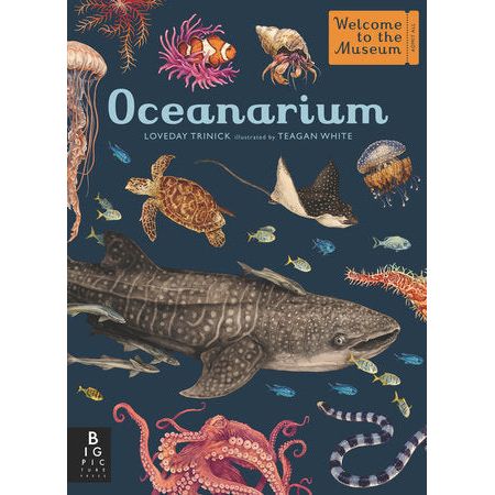 Oceanarium - A Welcome to the Museum Hardcover Picture Book