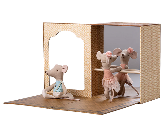 Ballet Mice in Dance Studio