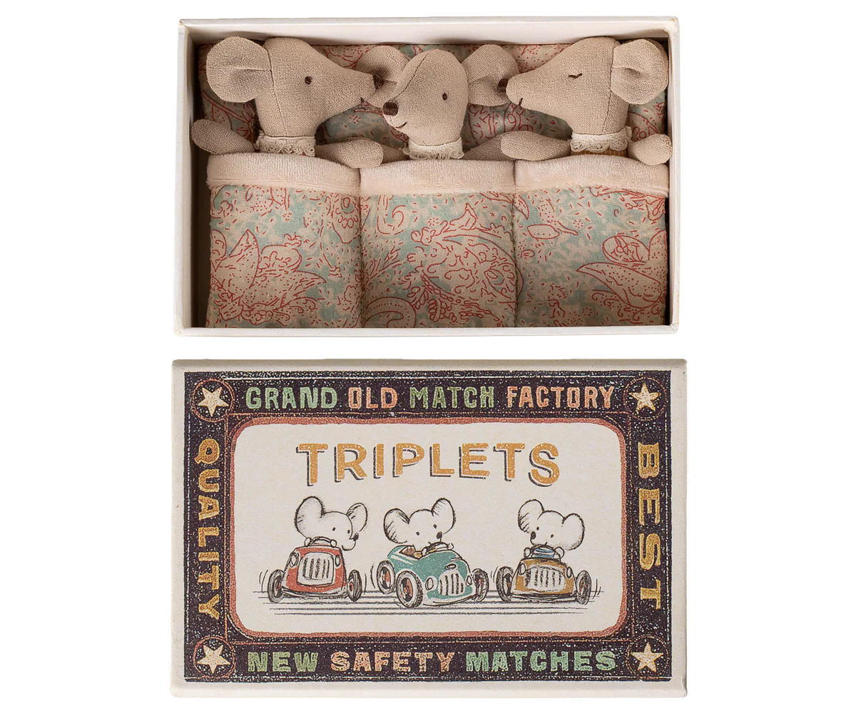 Baby Triplet Mice in Matchbox