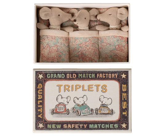 Baby Triplet Mice in Matchbox