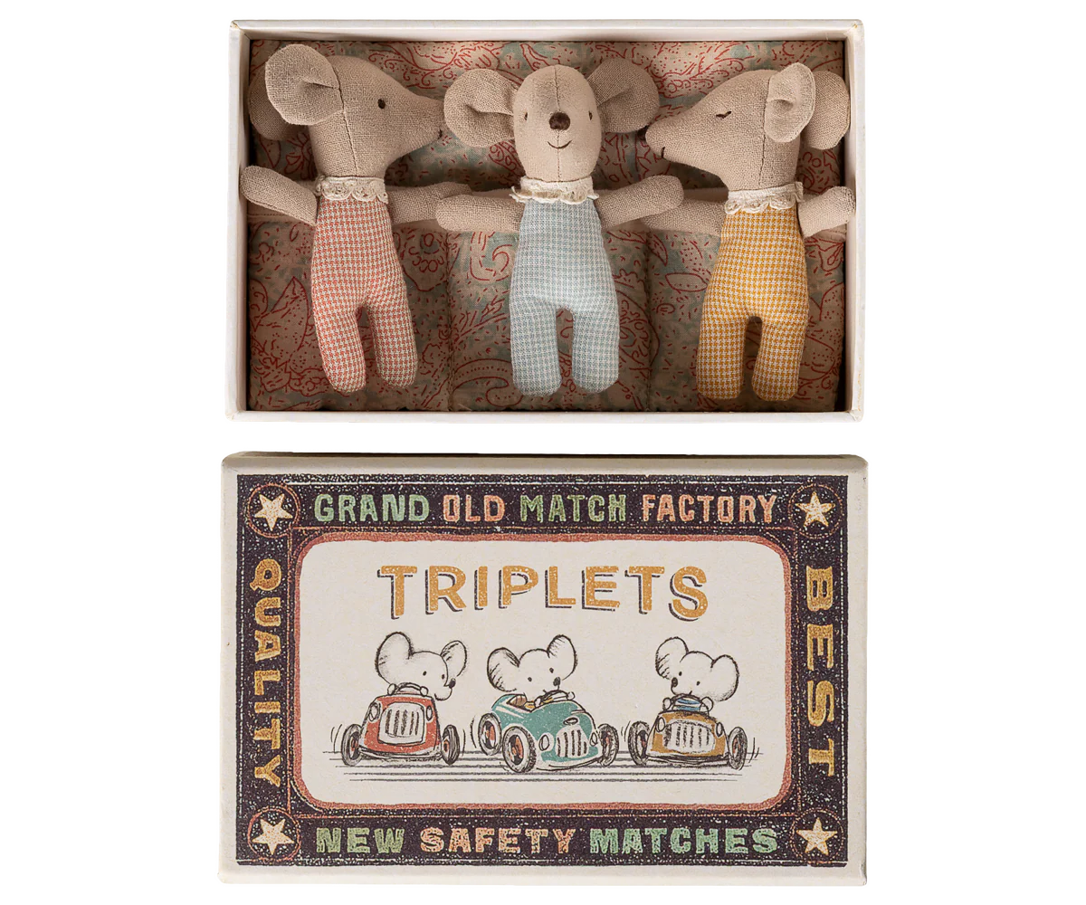 Baby Triplet Mice in Matchbox