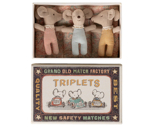 Baby Triplet Mice in Matchbox