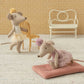 Little Sibling Ballerina Mouse