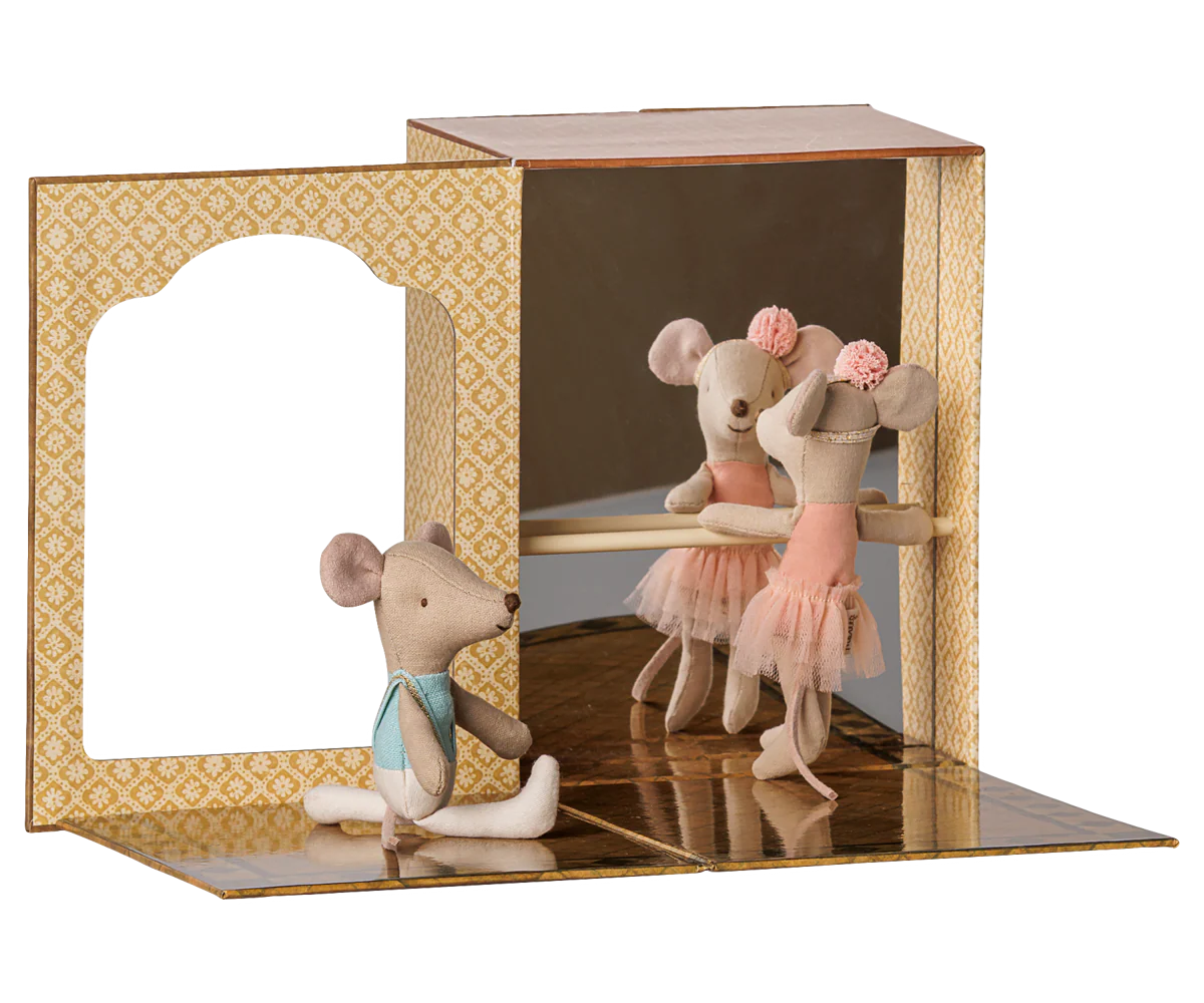 Ballet Mice in Dance Studio - Little Sibling
