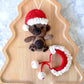 Felt Christmas Teddy Bear Ornament