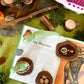 Felt Life Cycle - Brontosaurus