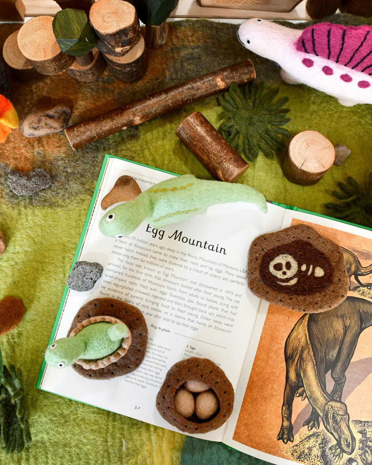 Felt Life Cycle - Brontosaurus