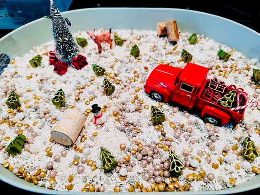 Little Red Truck Sensory Play Kit