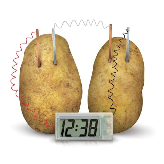 Green Science: Potato Clock