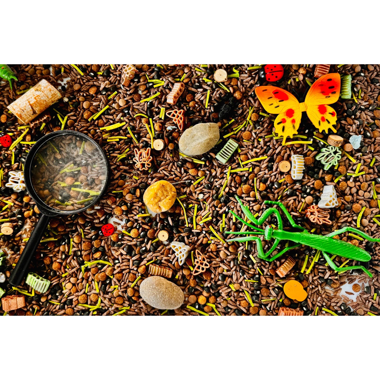 A Bug's Life Sensory Play Kit