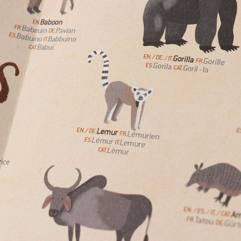 Animal World Poster & Stickers