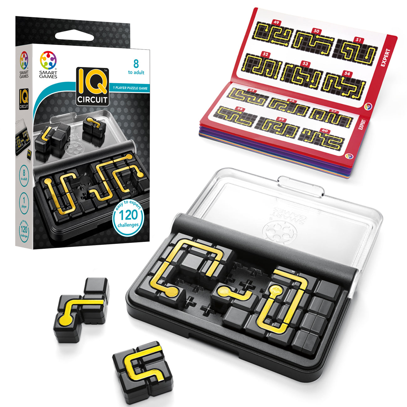 IQ Circuit Pocket Game