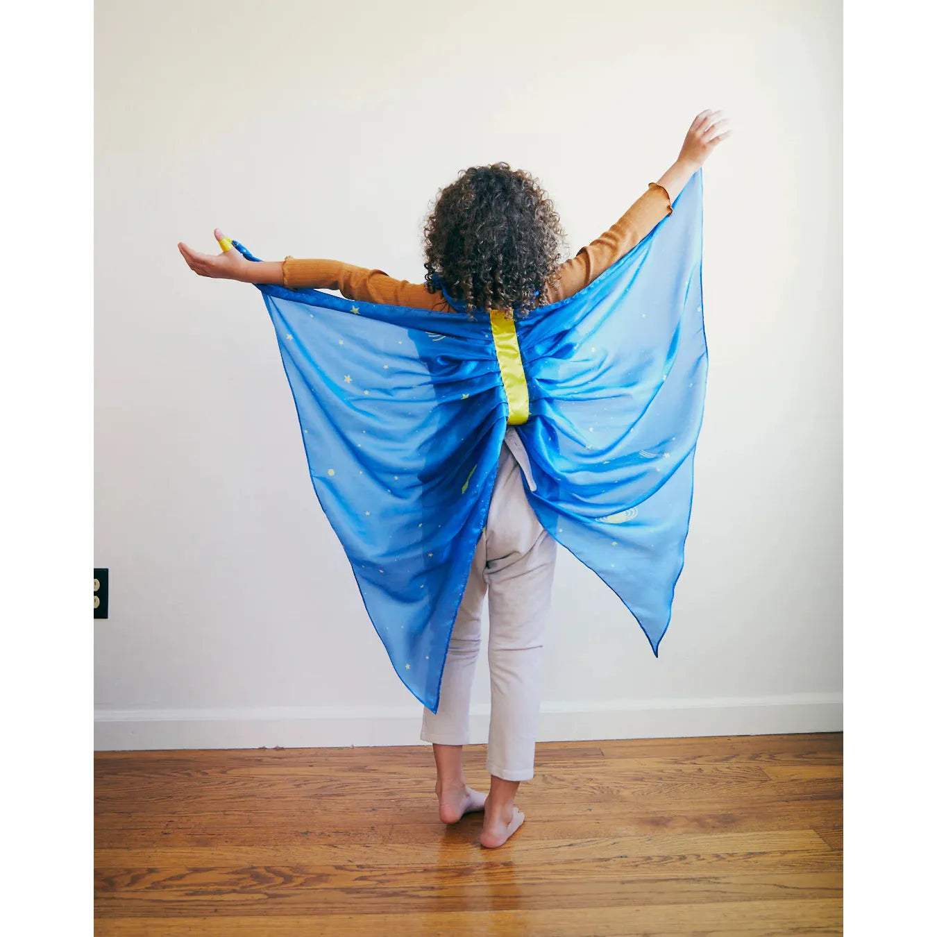 Silk Fairy Wings