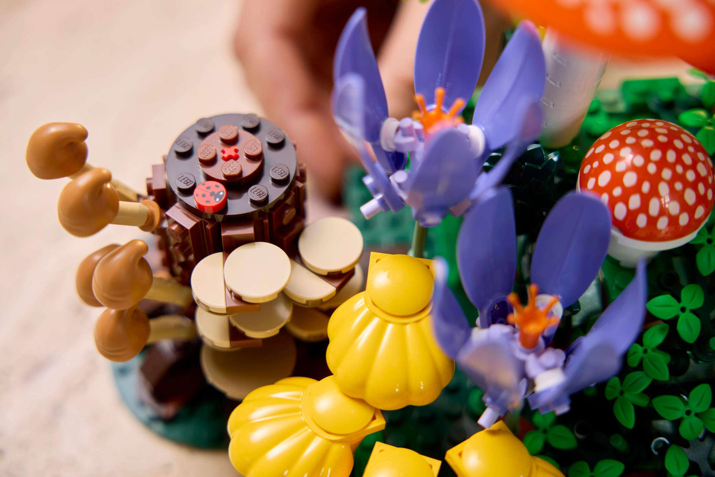 Botanicals: Woodland Mushrooms Building Set