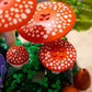 Botanicals: Woodland Mushrooms Building Set