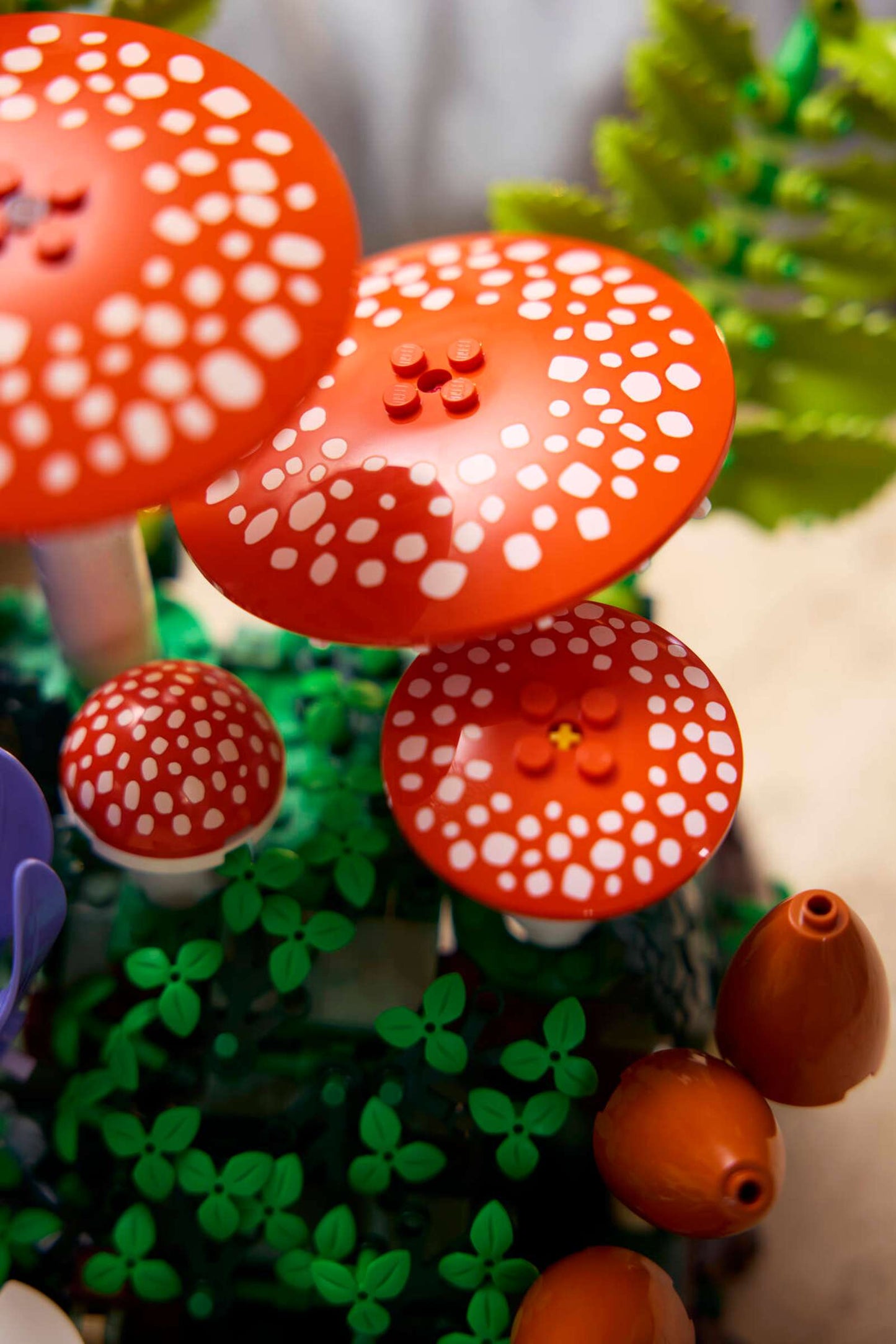Botanicals: Woodland Mushrooms Building Set