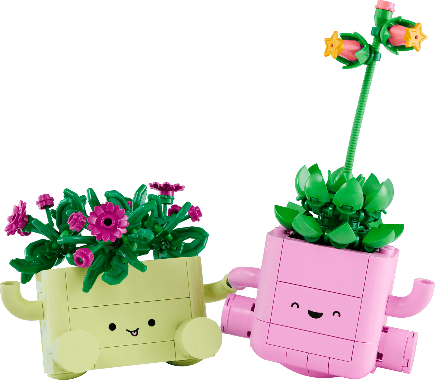 Botanical Collection: Rocking Plants Building Kit