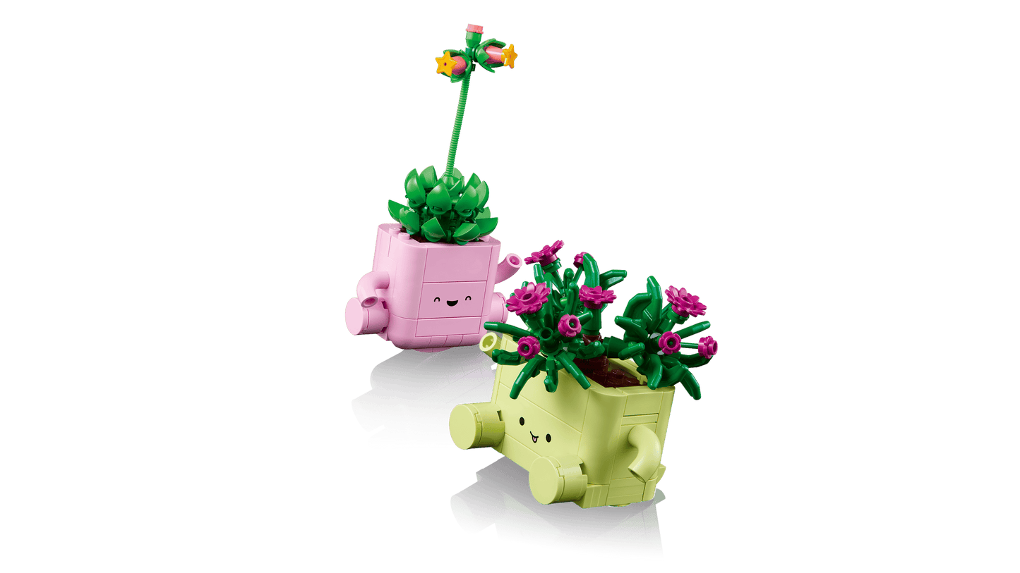 Botanical Collection: Rocking Plants Building Kit