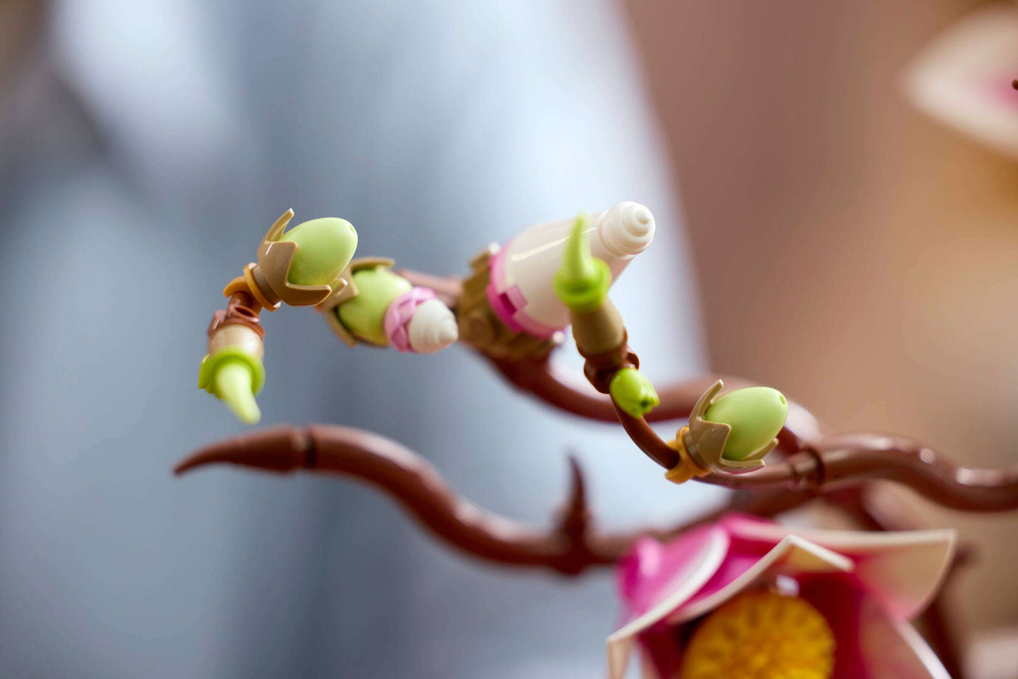 Botanical Collection: Magnolia Branches Building Kit
