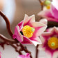 Botanical Collection: Magnolia Branches Building Kit