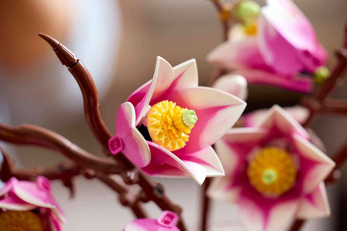 Botanical Collection: Magnolia Branches Building Kit