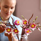 Botanical Collection: Magnolia Branches Building Kit
