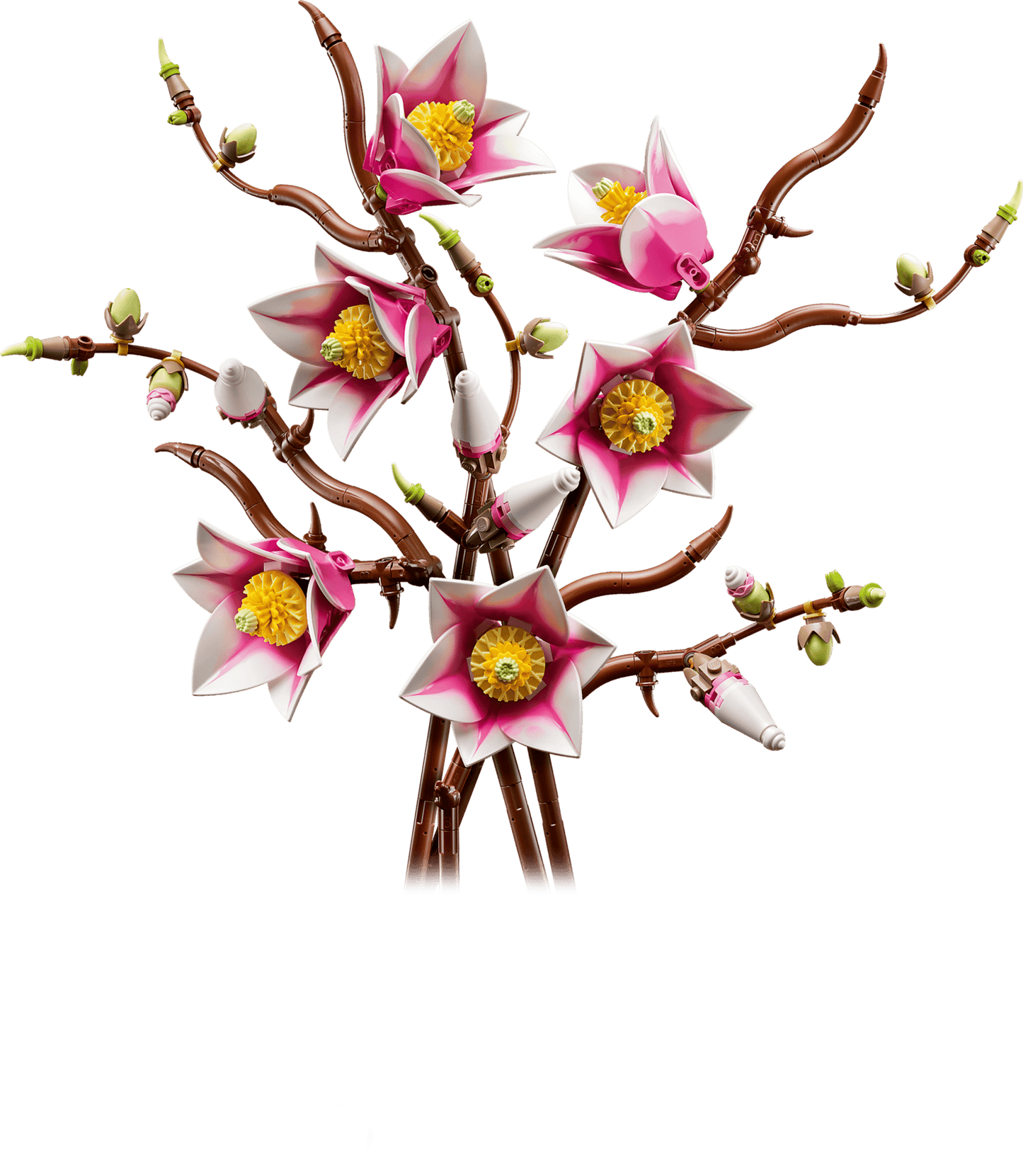 Botanical Collection: Magnolia Branches Building Kit