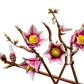 Botanical Collection: Magnolia Branches Building Kit