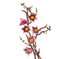 Botanical Collection: Magnolia Branches Building Kit