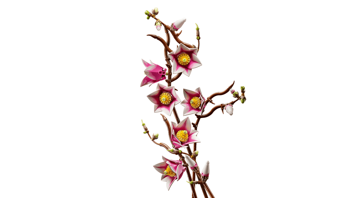 Botanical Collection: Magnolia Branches Building Kit
