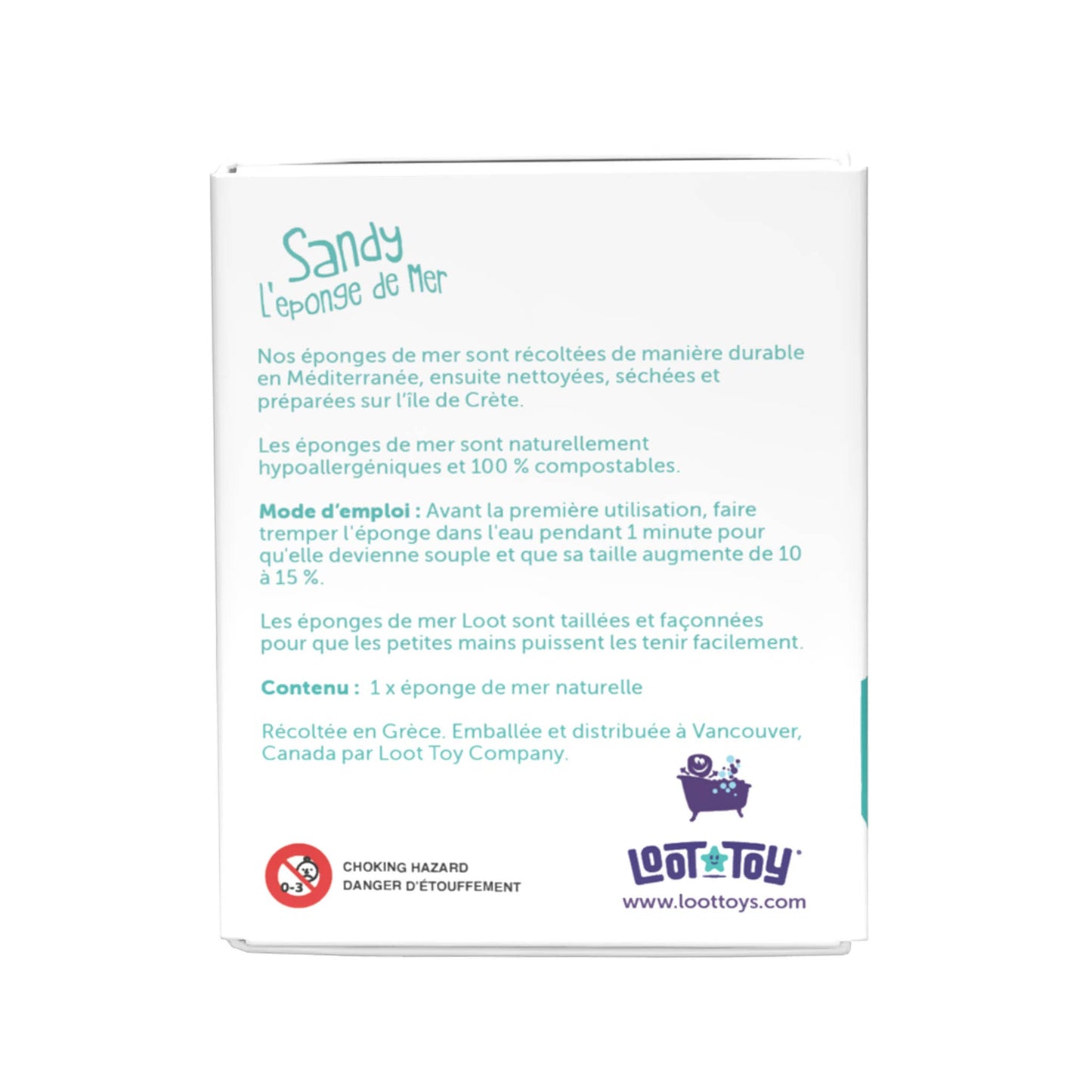 Sandy The Sea Sponge