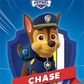 Paw Patrol Pup Pack - Yoto Cards
