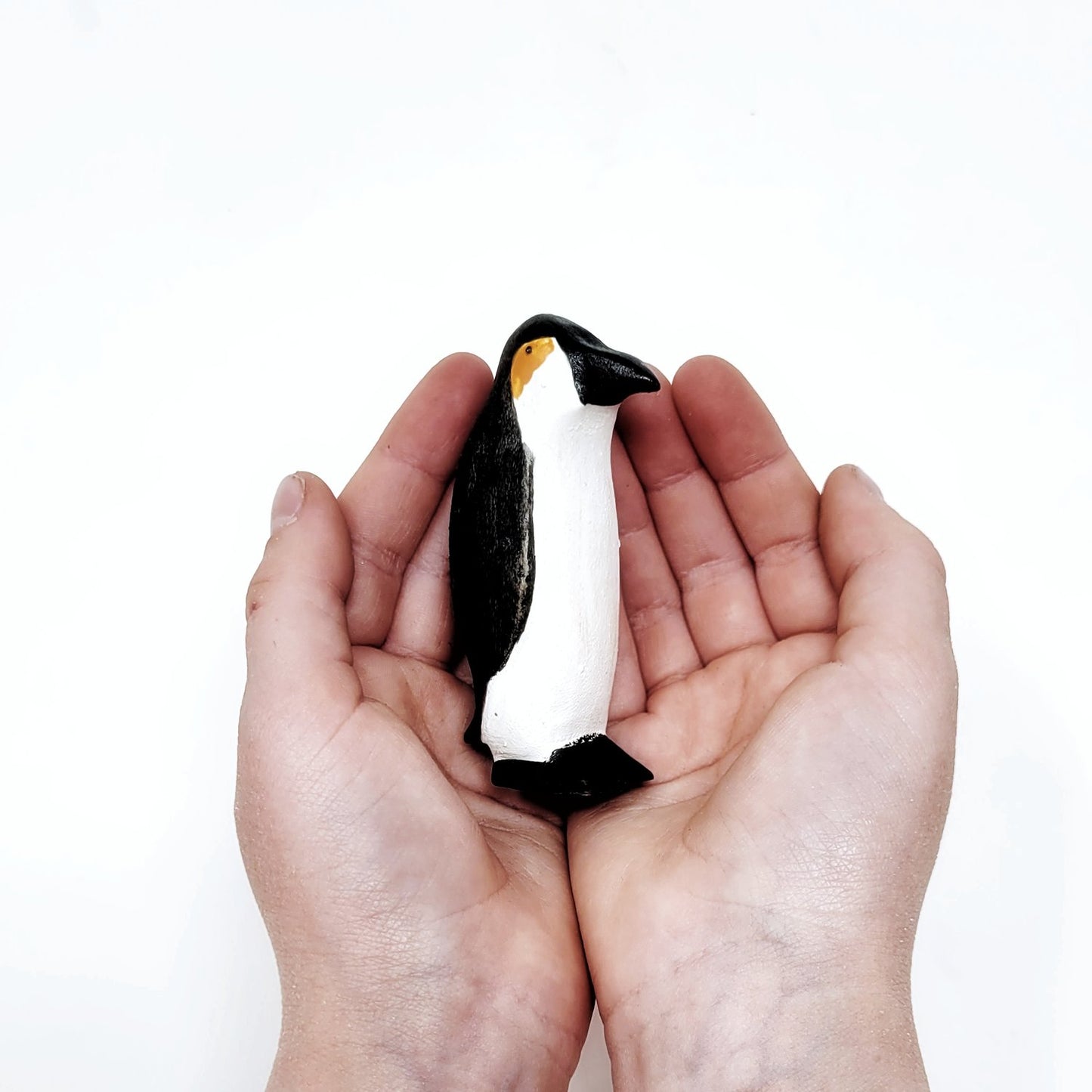 Percival the Penguin