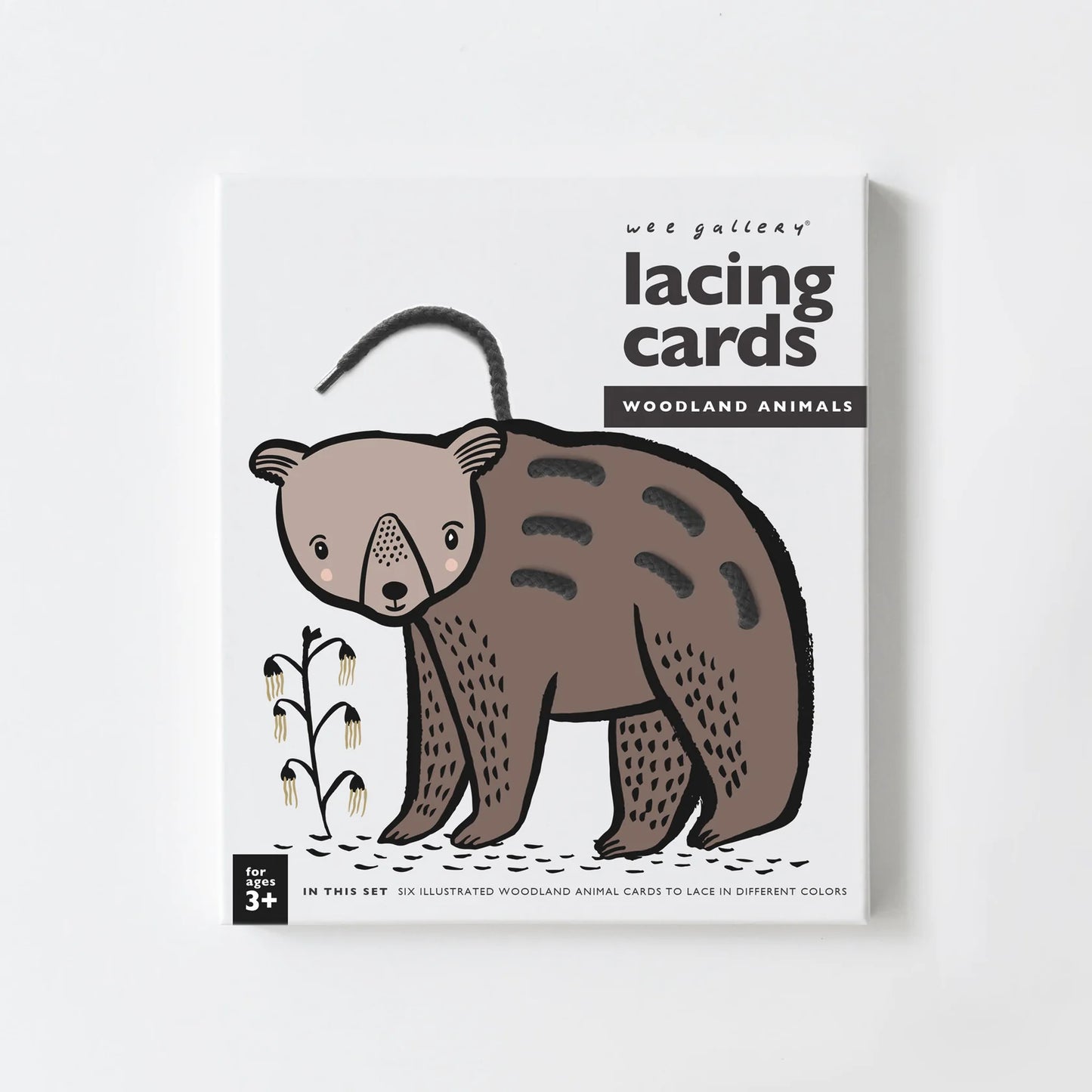 Lacing Cards - Animals