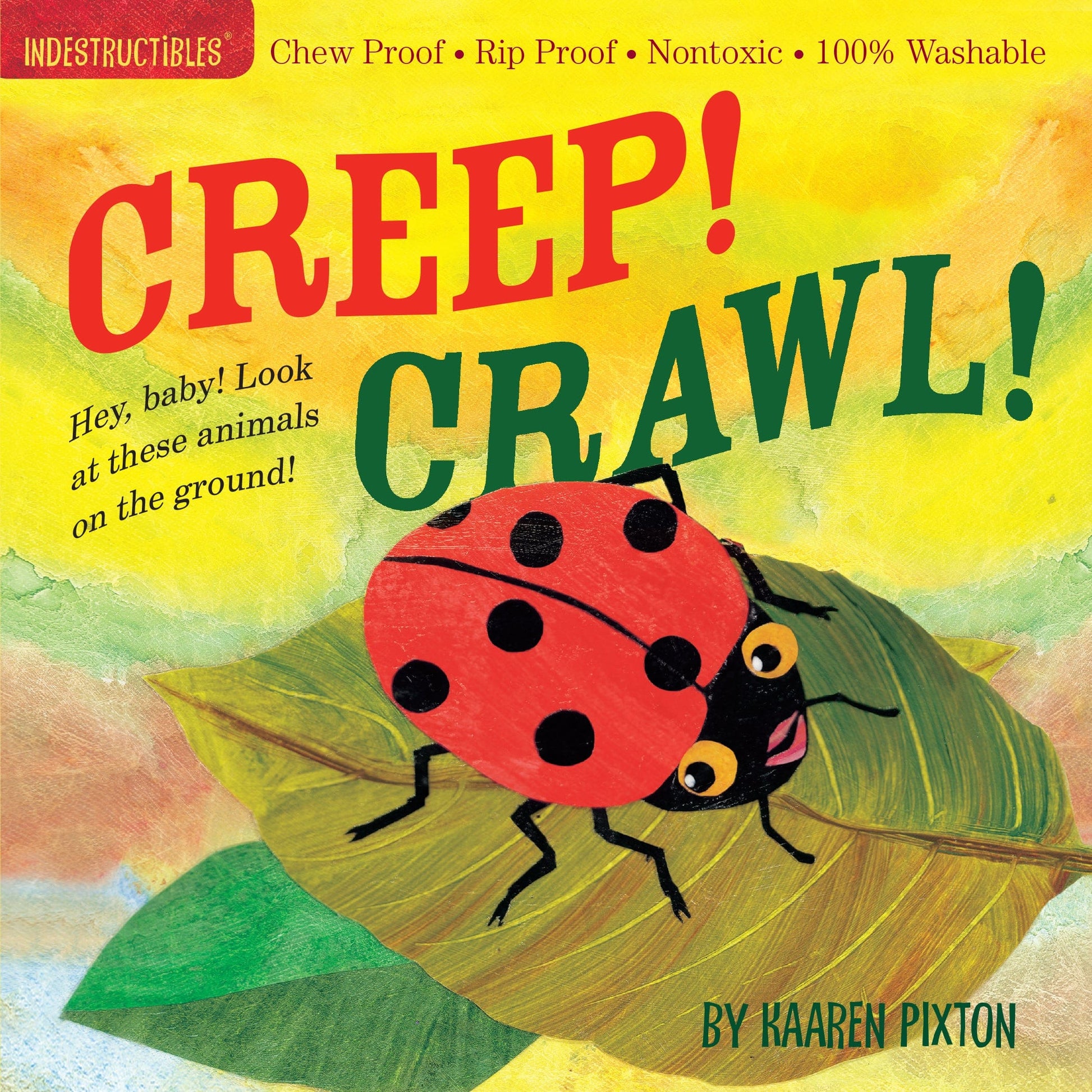 Cherry Tree Lane Toys Creep! Crawl! Indestructibles! Waterproof Books