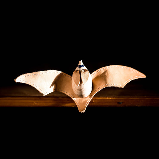 Eperfa Default Play at Night - Big-eared, Open Winged Bat